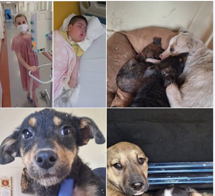 Din inimă pentru oameni și animale: Marius Simionica propune o nouă misiune de bine Din inimă pentru oameni și animale: Marius Simionica propune o nouă misiune de bine