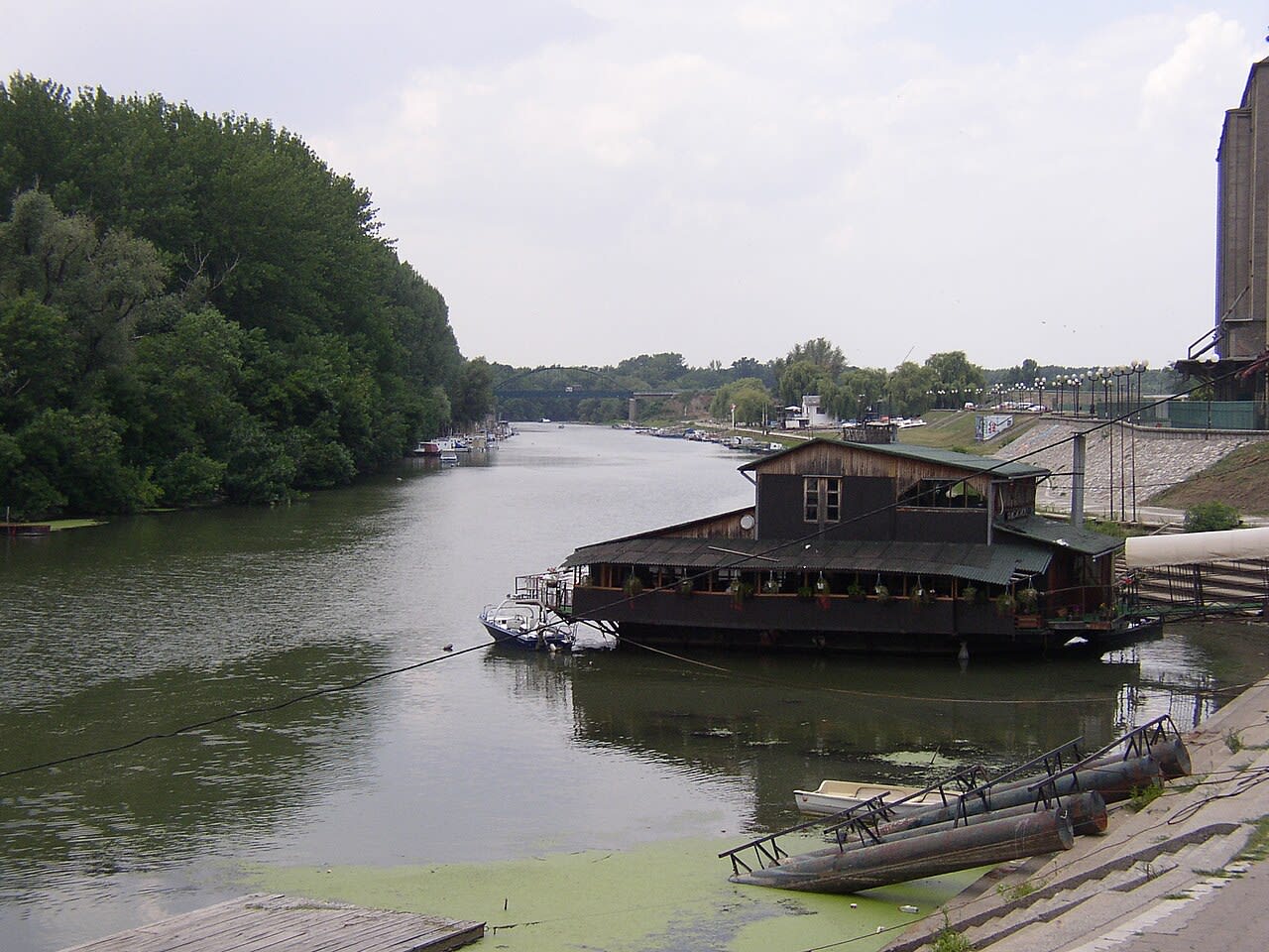 Accident rutier tragic în Timiș cu victime Accident rutier tragic în Timiș cu victime