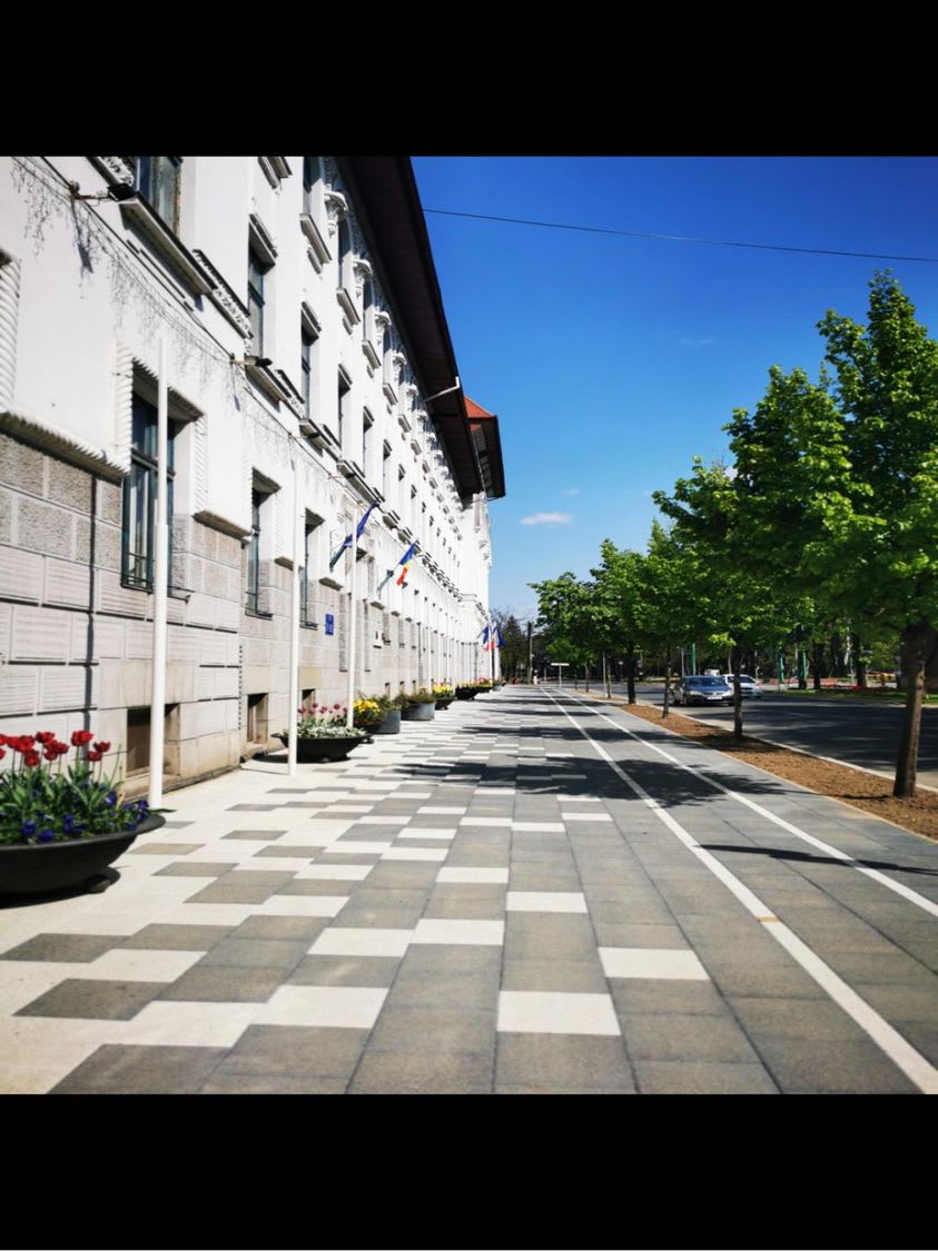 Sala de Consiliu a Primăriei Timișoara în timpul dezbaterii publice