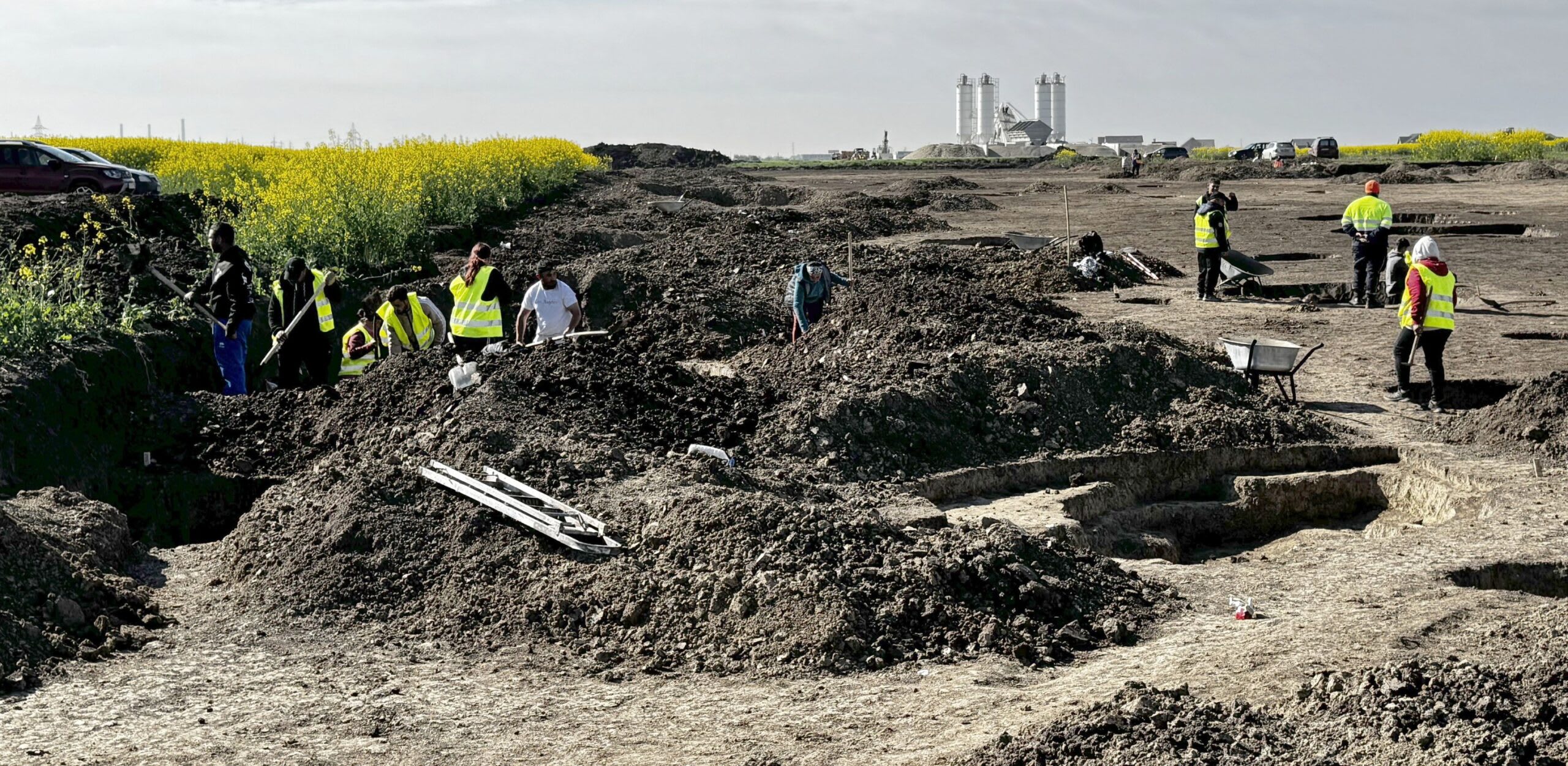 Excavare arheologică pe șantierul viitoarei Centuri Vest a Timișoarei