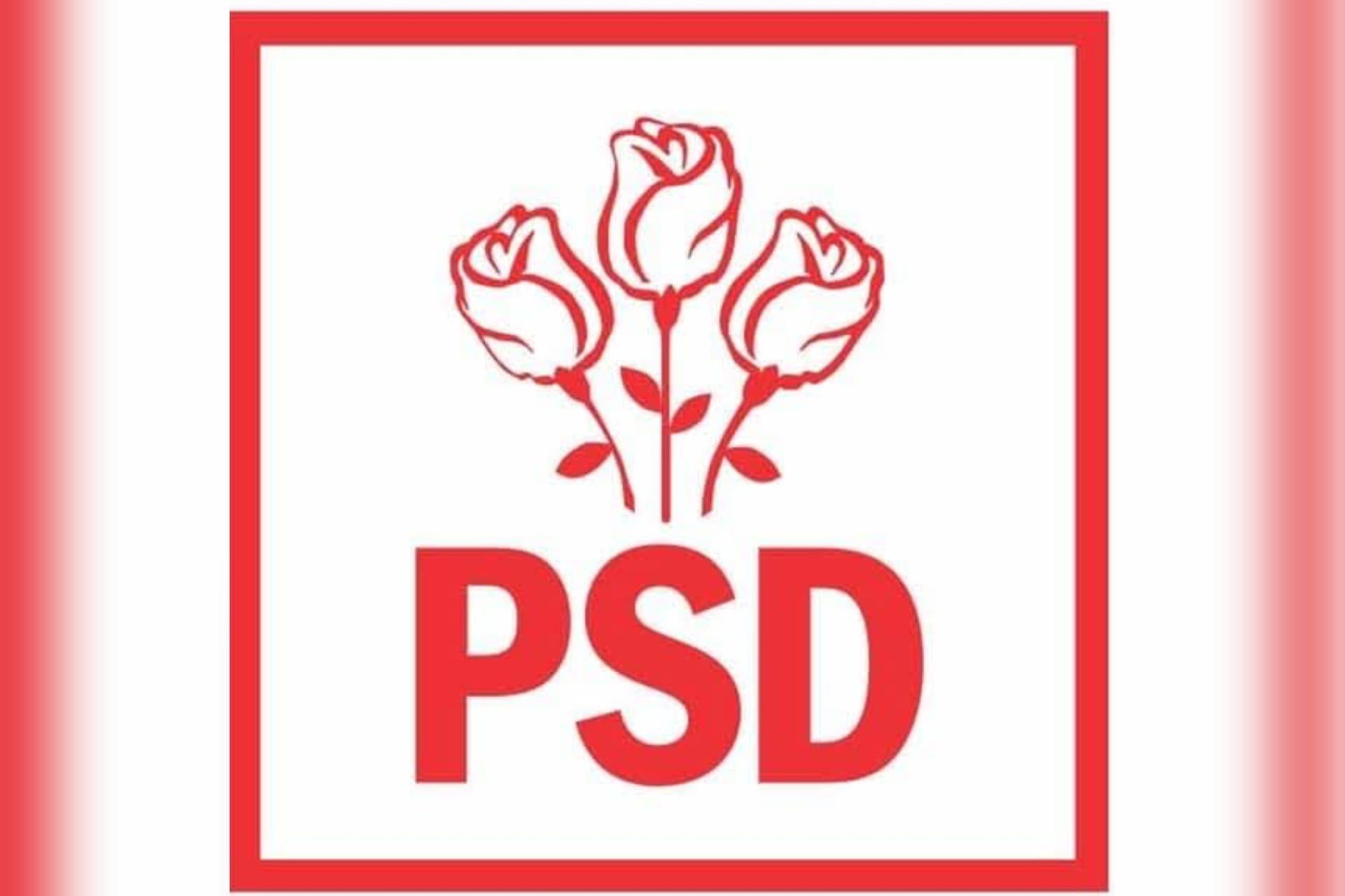 Demisii în lanț în Guvern: miniștrii PSD părăsesc Cabinetul Bolojan și se pregătește un nou guvern pro-european