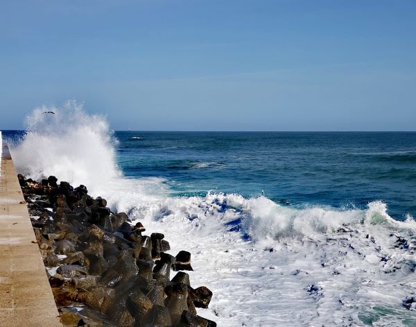Vânt puternic peste Constanța, copaci și clădiri în mișcare Vânt puternic peste Constanța, copaci și clădiri în mișcare