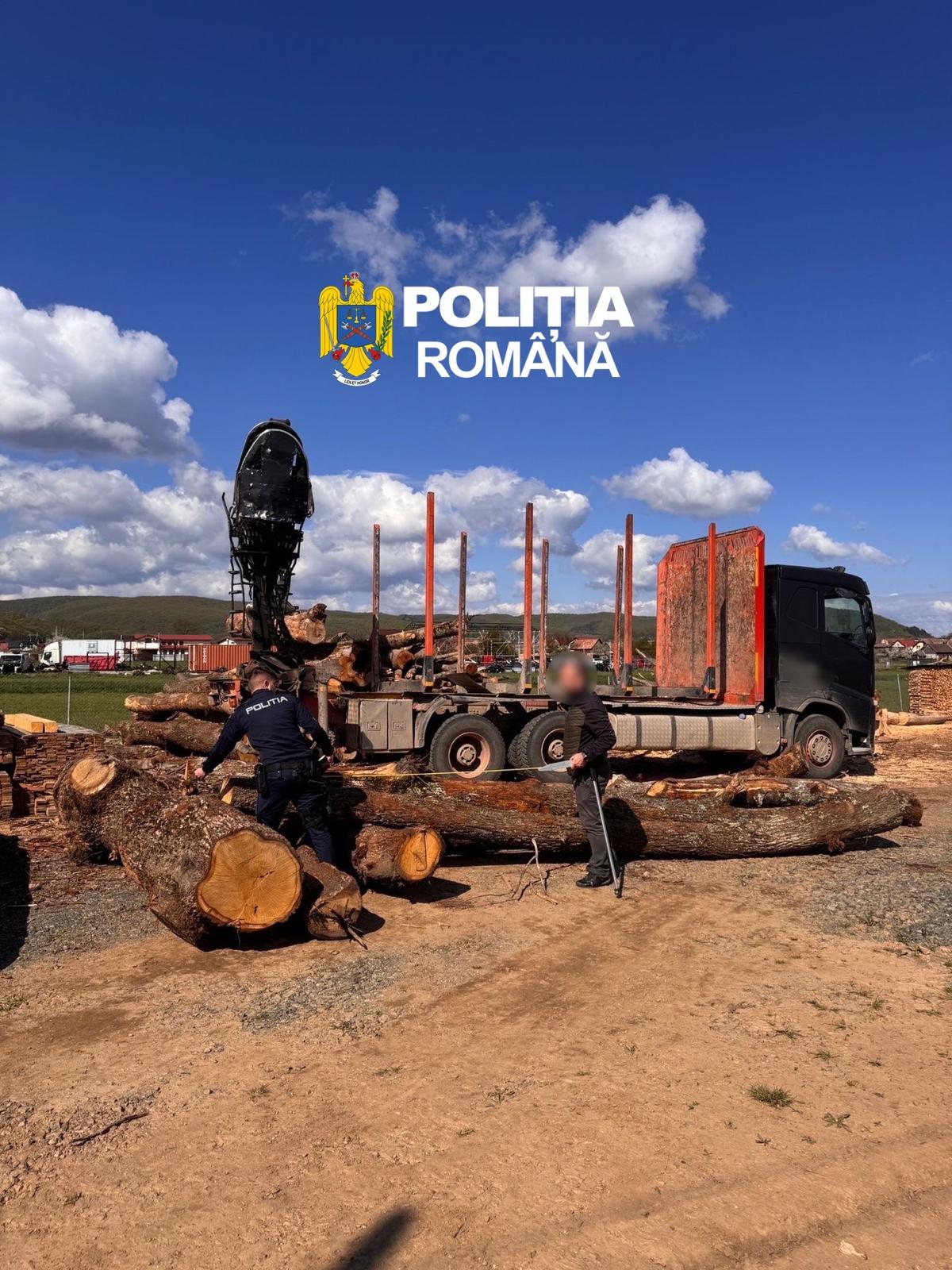 Polițiștii din Vâlcea au aplicat amenzi și au confiscat lemn ilegal în acțiuni din aprilie 2026