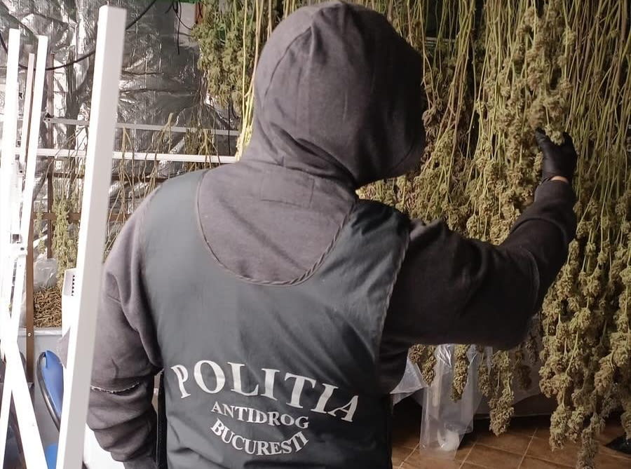 Laborator de droguri descoperit în Vâlcea! Rețea internațională cu 11 persoane arestată de DIICOT