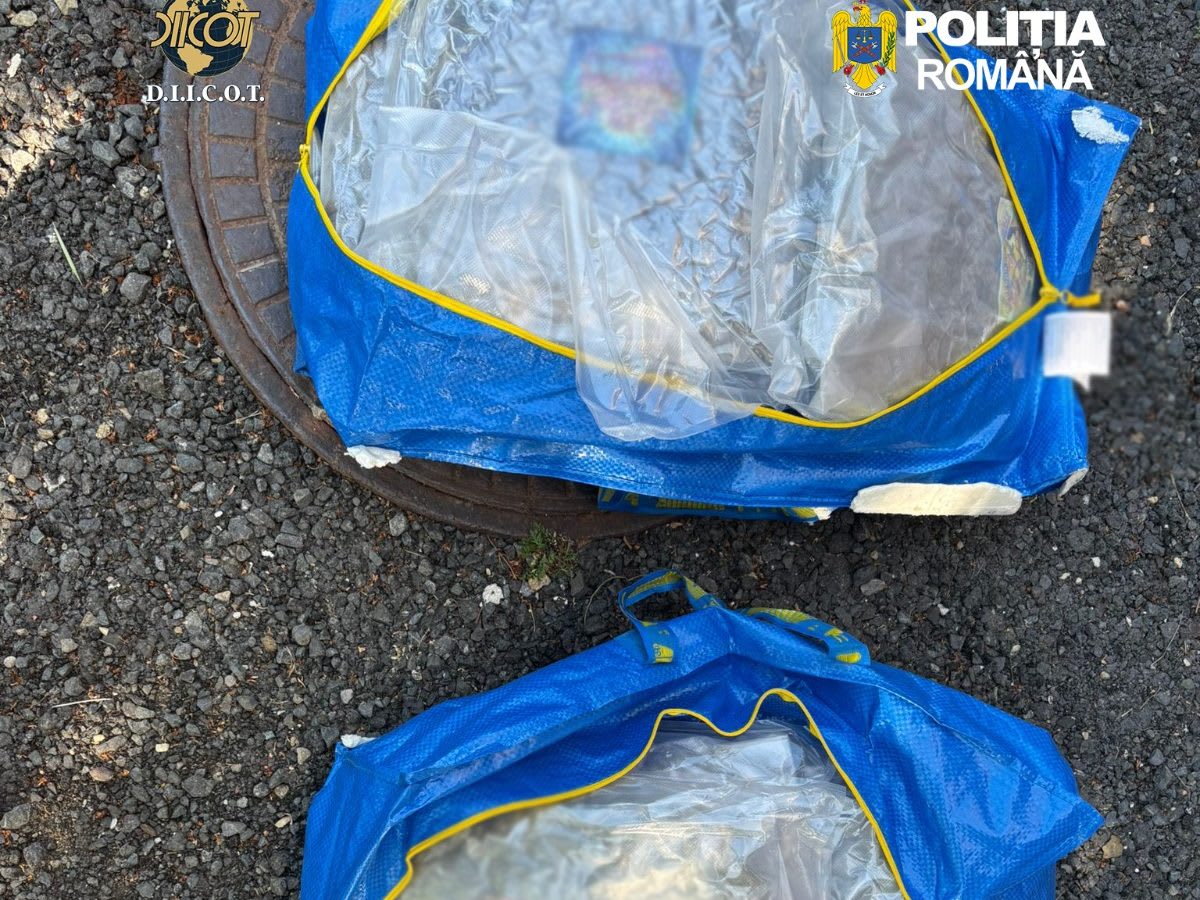 Polițiști și jandarmi în acțiune în Timiș pentru trafic de droguri Polițiști și jandarmi în acțiune în Timiș pentru trafic de droguri