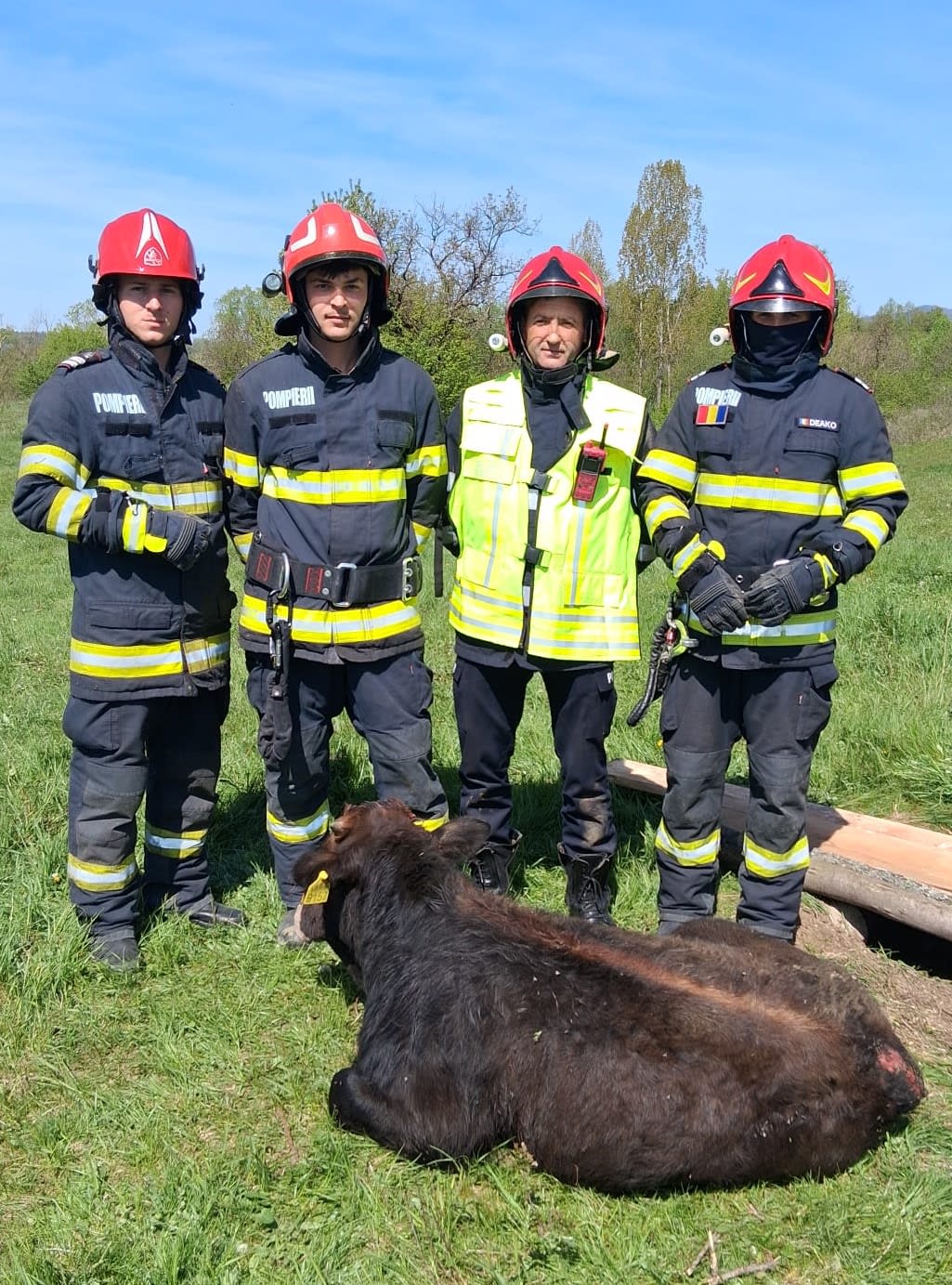 Intervenție spectaculoasă la Horezu: pompierii au salvat un vițel căzut într-un puț de peste 5 metri