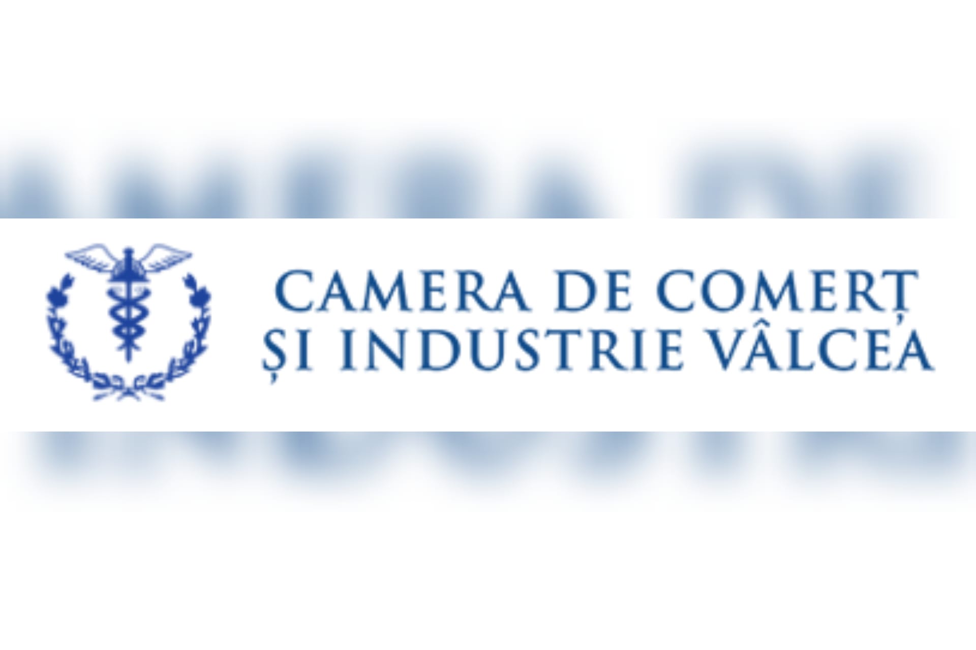 Strategia CCI Vâlcea 2030: Planul pentru atragerea investițiilor de tip Datacenter și transformarea economică a județului