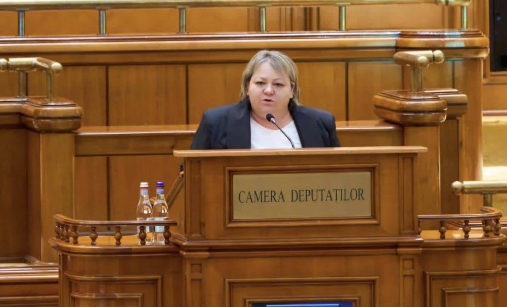 AUR propune Ghișeul Unic pentru Diaspora, soluție pentru revenirea românilor acasă