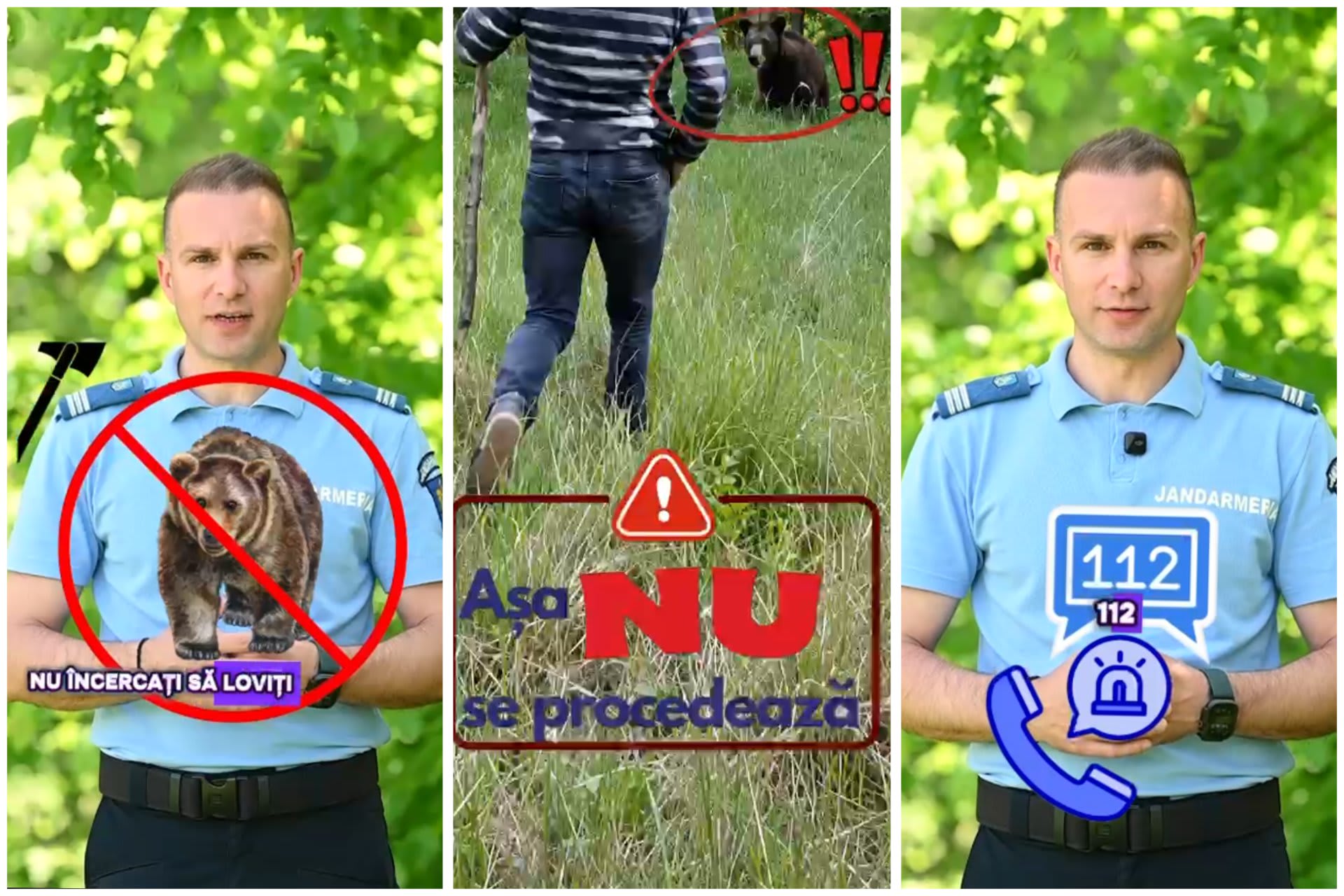 IJJ Vâlcea transmite mesaj important după apariția unui urs lângă locuință: „Curajul înseamnă să iei decizia corectă”