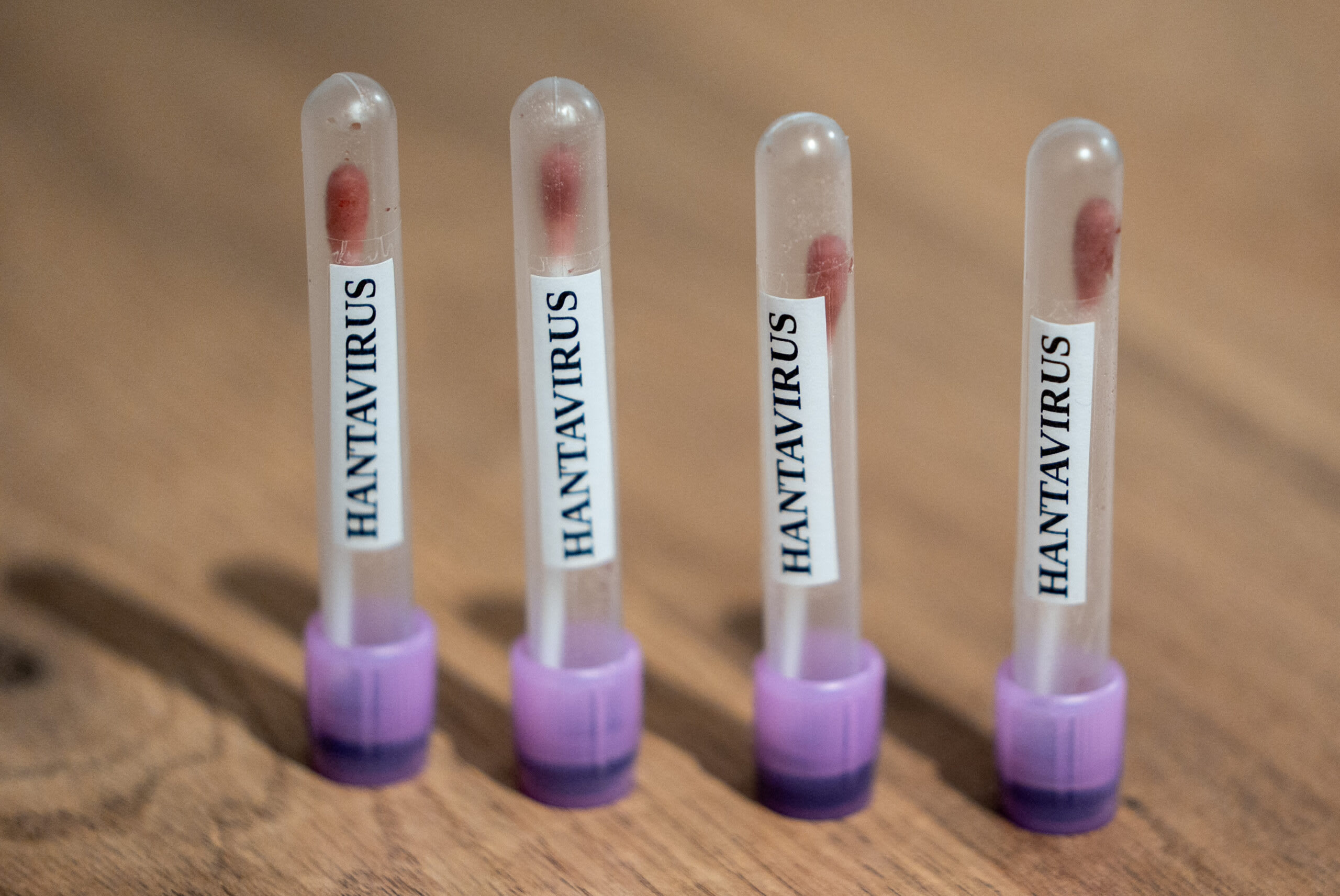 Șeful OMS: Nu s-au mai înregistrat decese din cauza hantavirusului din 2 mai, riscul unei epidemii globale fiind scăzut