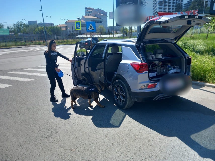 Polițiști în acțiune în Năvodari verificând autoturisme