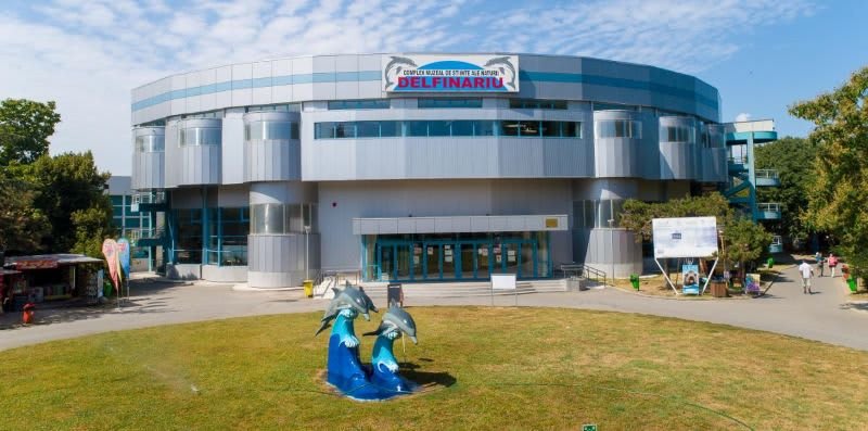 Delfinariu din Constanța, evenimente educaționale și interactive Delfinariu din Constanța, evenimente educaționale și interactive