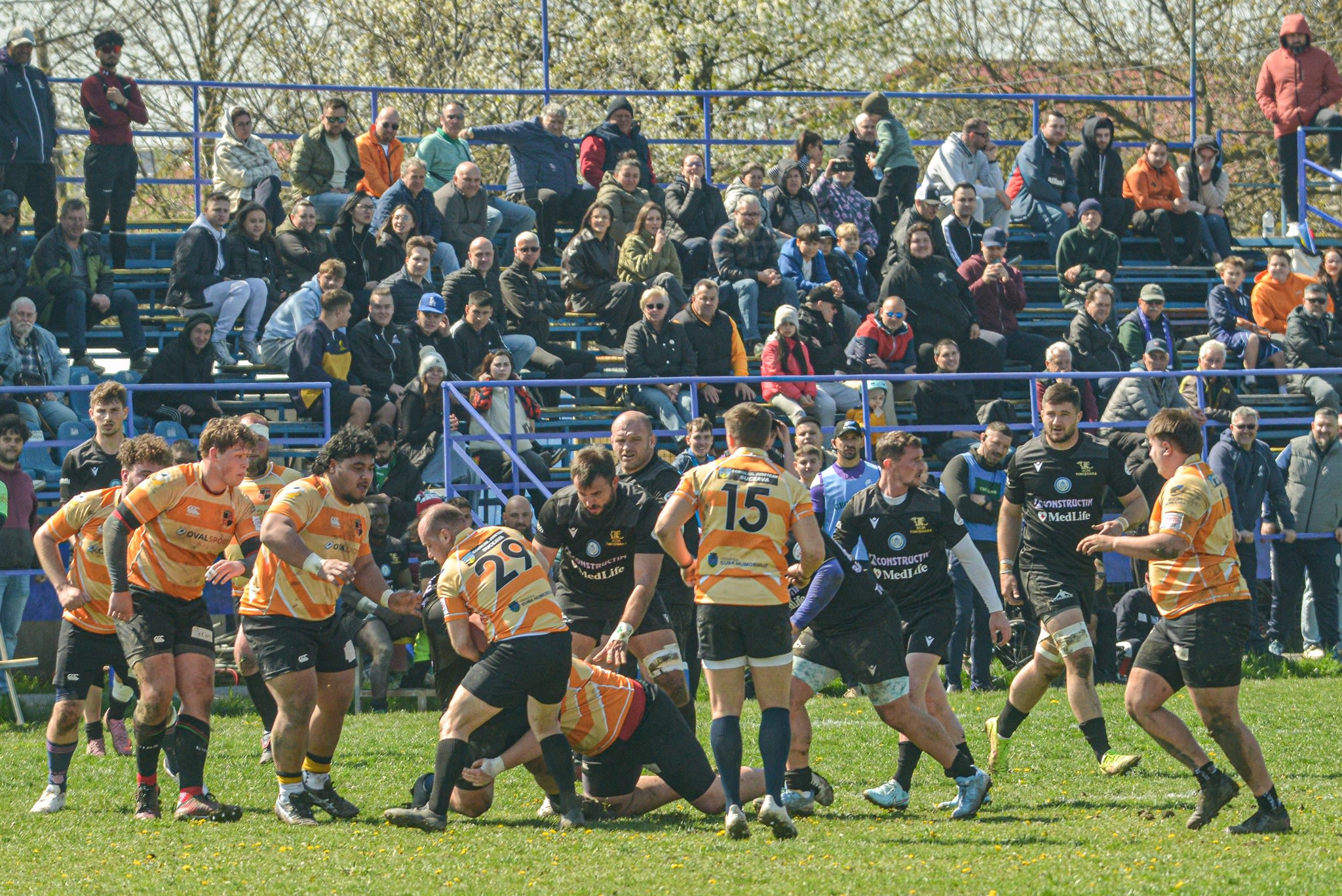 Jucători de rugby SCM Timișoara în acțiune pe teren