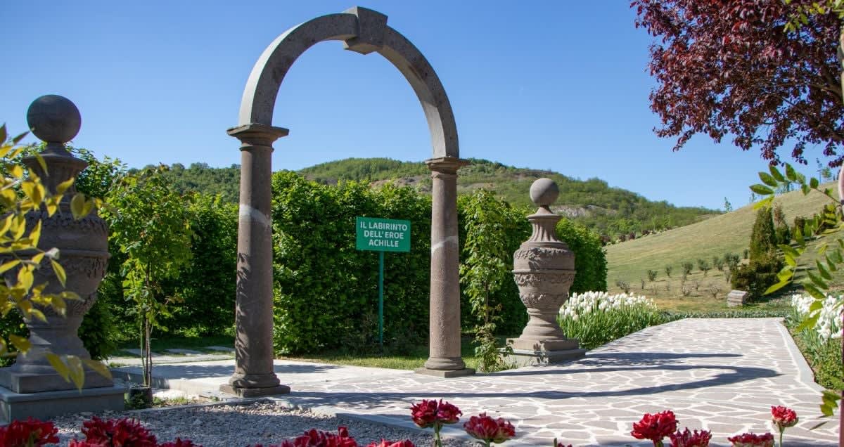 Grădină cu trandafiri înfloriți și labirint din Carpinus betulus