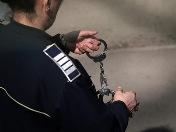 Familia Crăciunescu a fost prejudiciată cu peste un milion de euro într-un nou dosar penal în Vâlcea