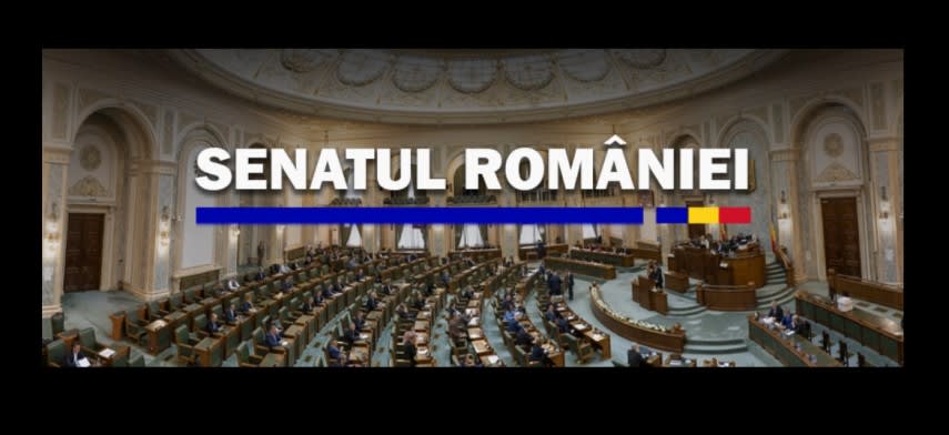 Corina Încrosnatu în timpul votului pentru conducerea ICR