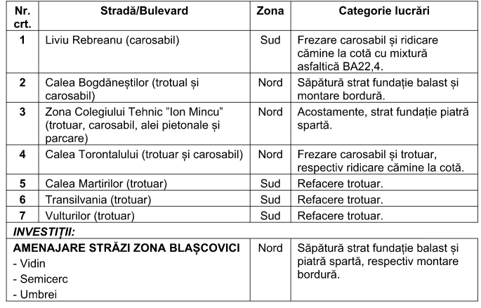 Lucrări de reparație pe stradă în Timișoara, muncitori în acțiune
