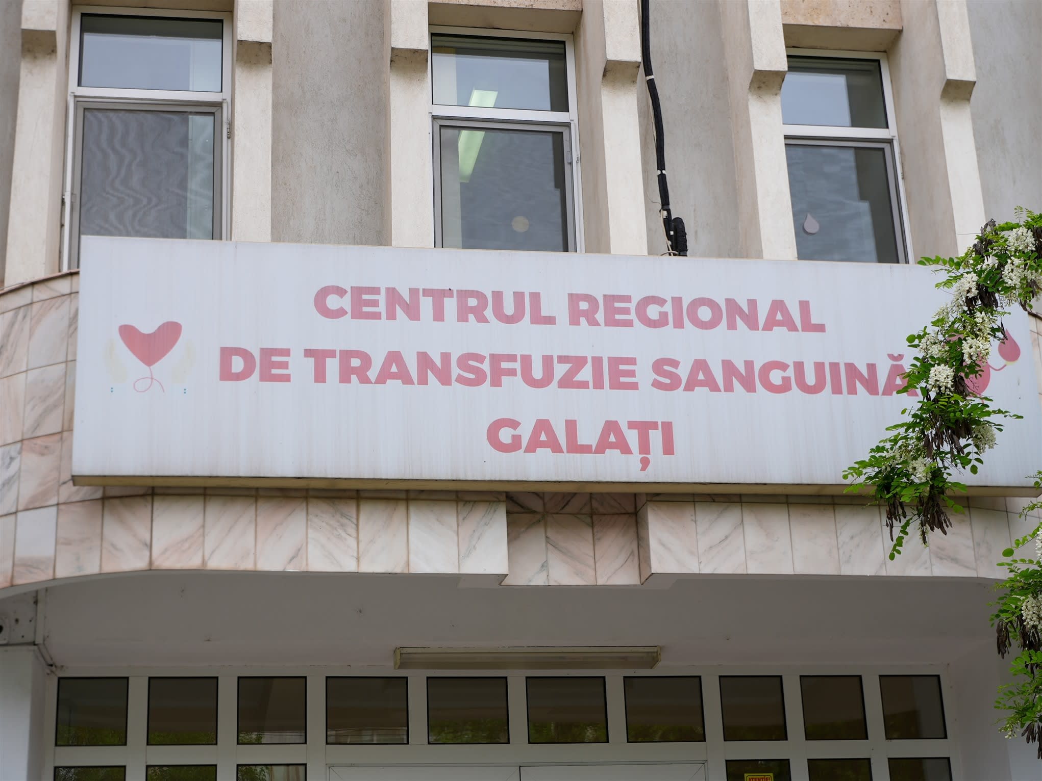 Voluntari Crucii Roşii Galaţi donând sânge la centru transfuzie Voluntari Crucii Roşii Galaţi donând sânge la centru transfuzie