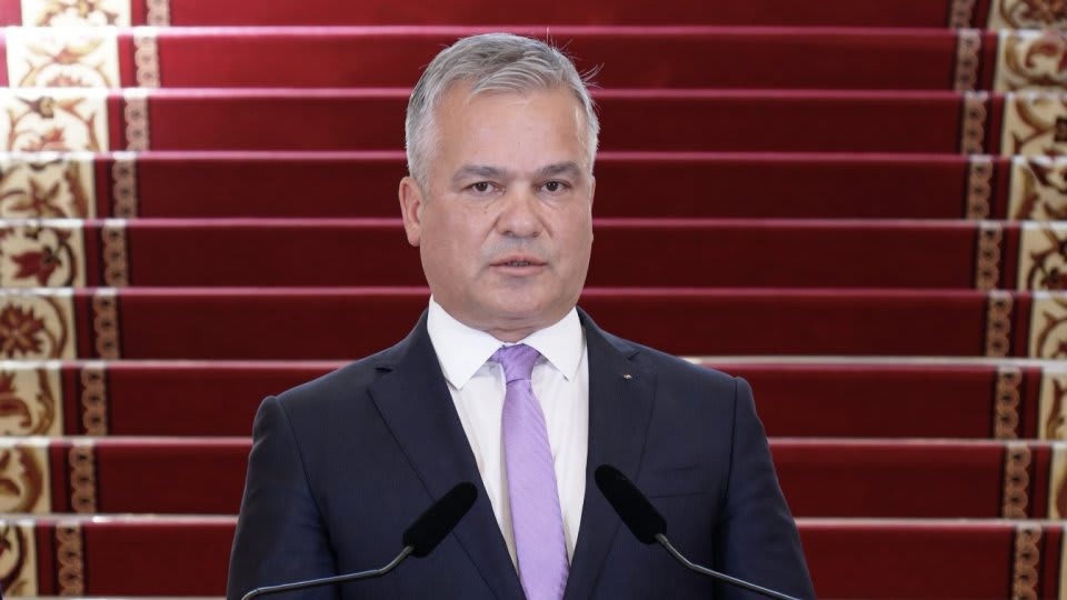 Radu Nicosevici în timpul unei declarații despre guvernul Veștea