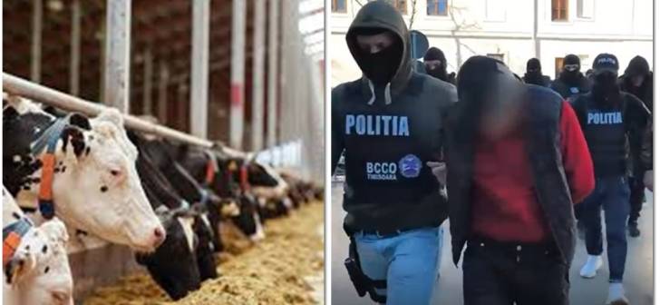 Polițiști și procurori efectuează percheziții în Arad pentru trafic ilegal de animale
