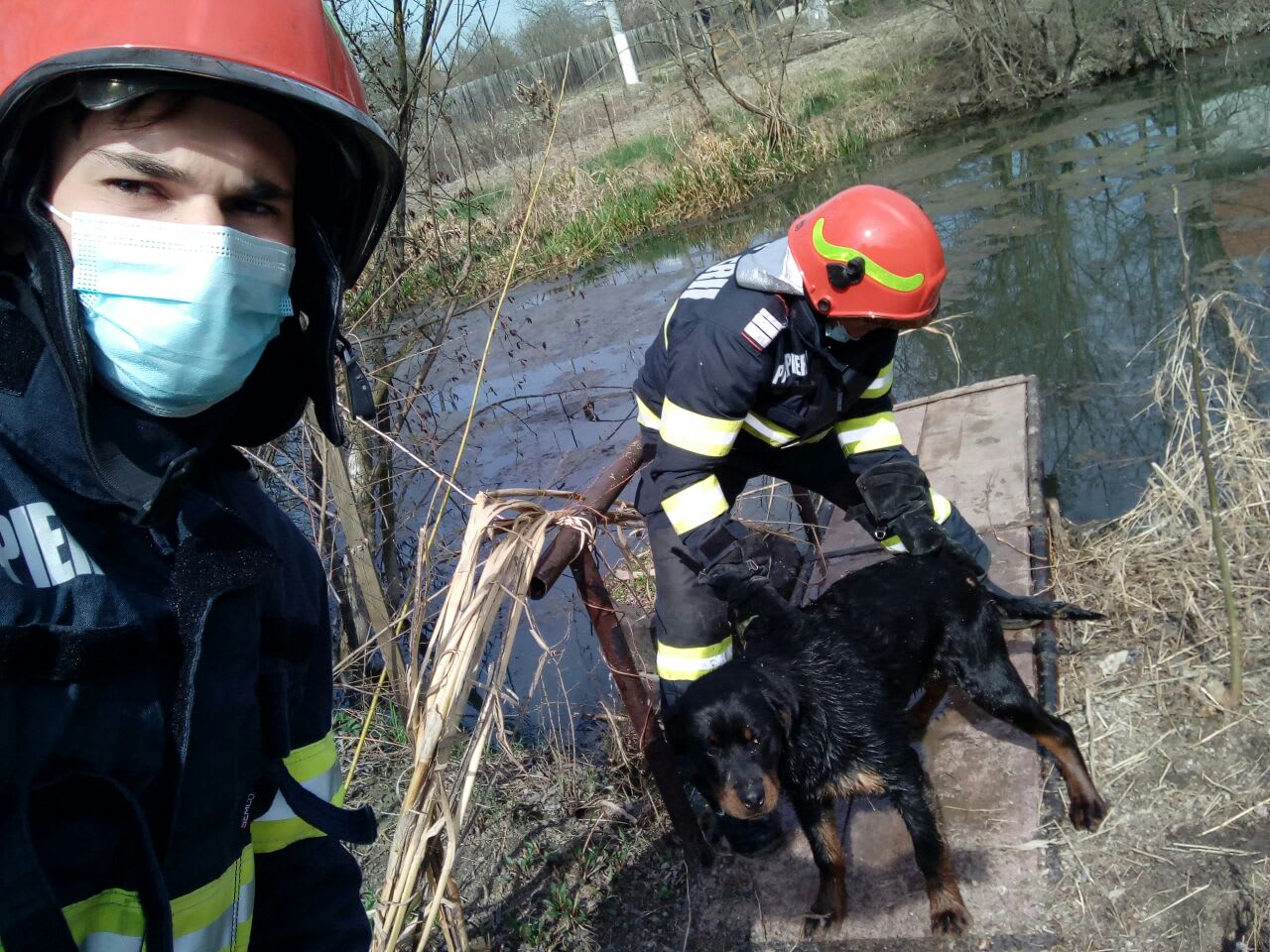 Pompieri din Timișoara salvând un câine dintr-un canal tehnologic