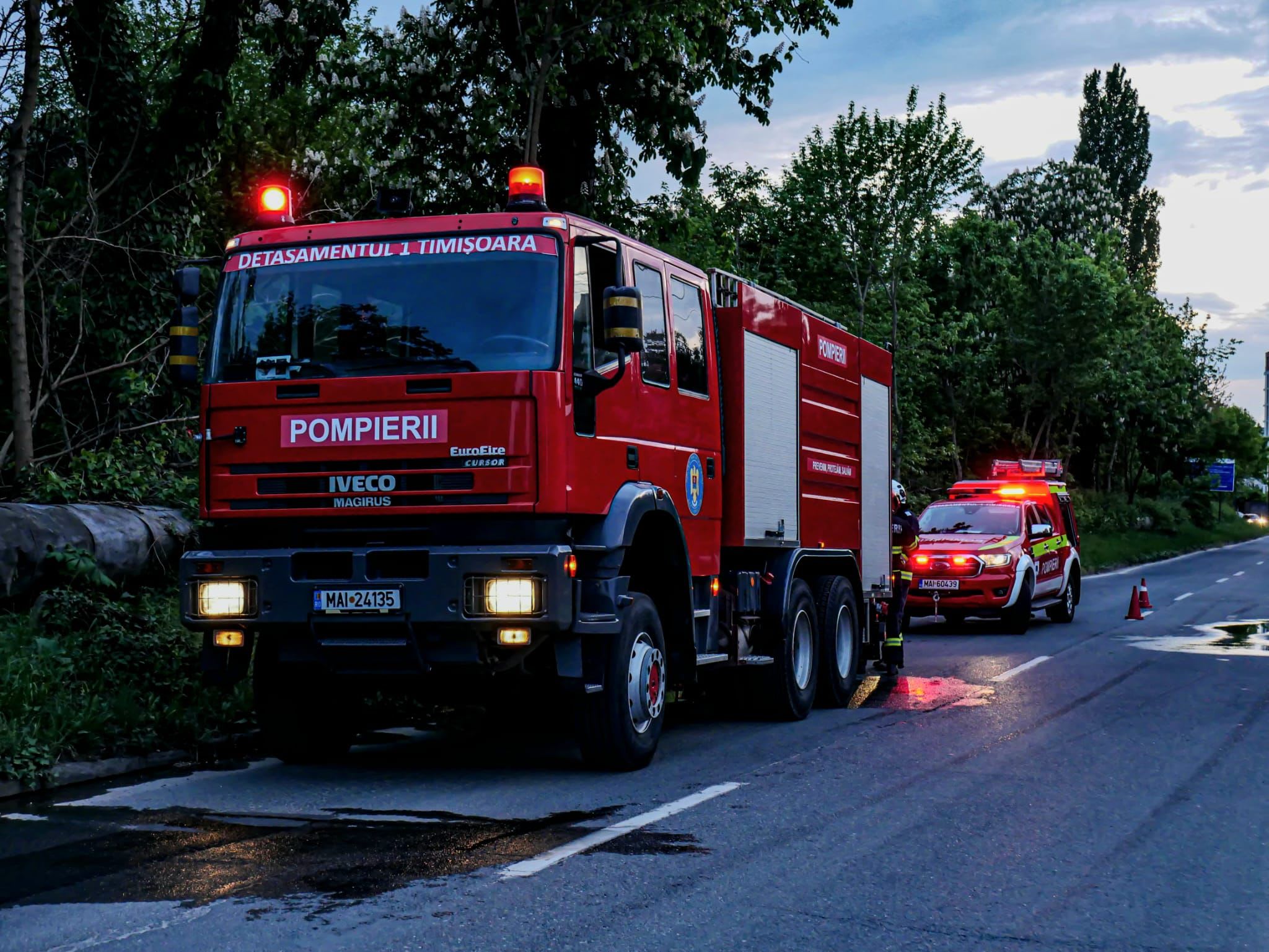 Pompieri intervenind pentru degajarea unui copac doborât în Timișoara