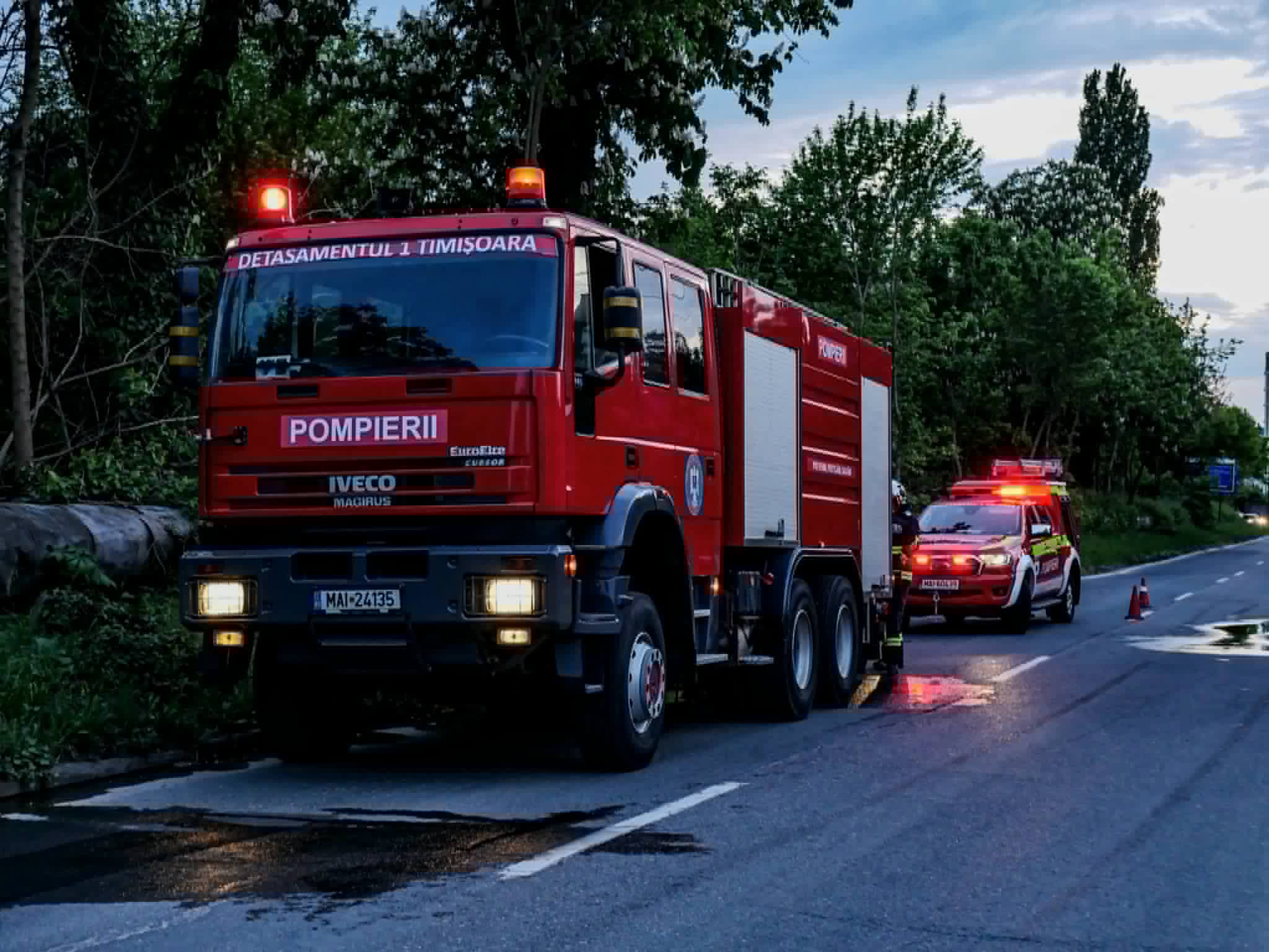 Pompieri din Timiș intervenind la copaci căzuți în timpul furtunii