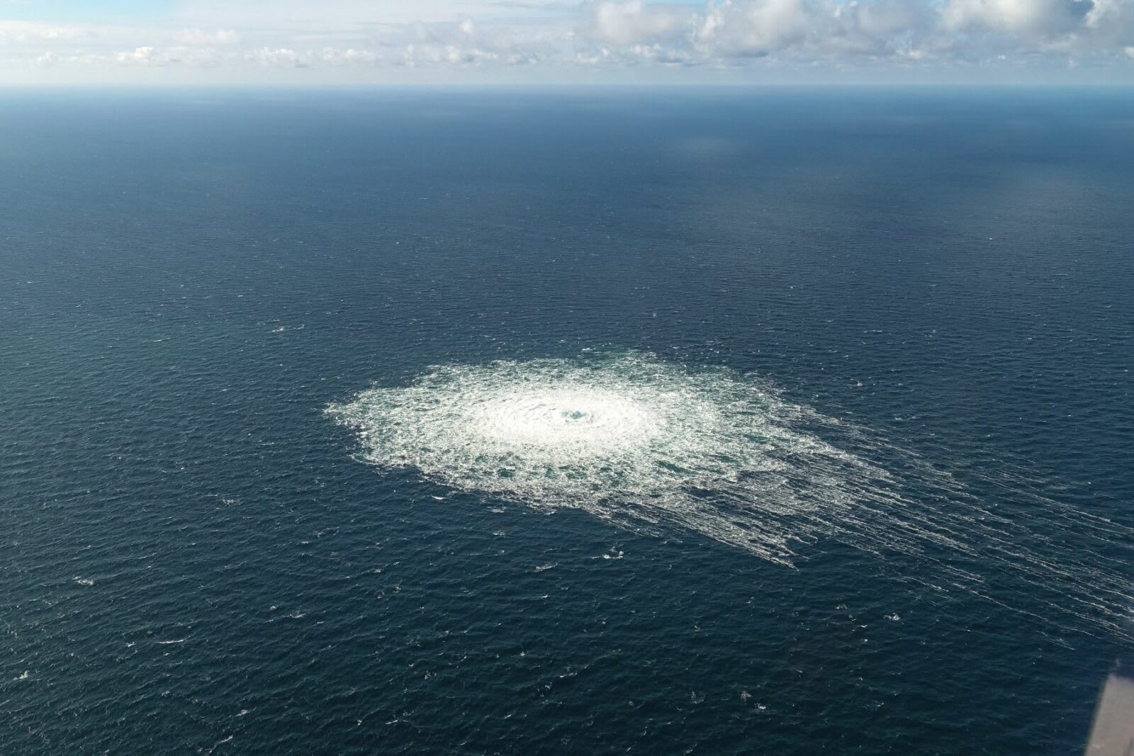 Echipă de scafandri ucraineni în Marea Baltică, camuflați în spatele unui film pentru adulți Echipă de scafandri ucraineni în Marea Baltică, camuflați în spatele unui film pentru adulți