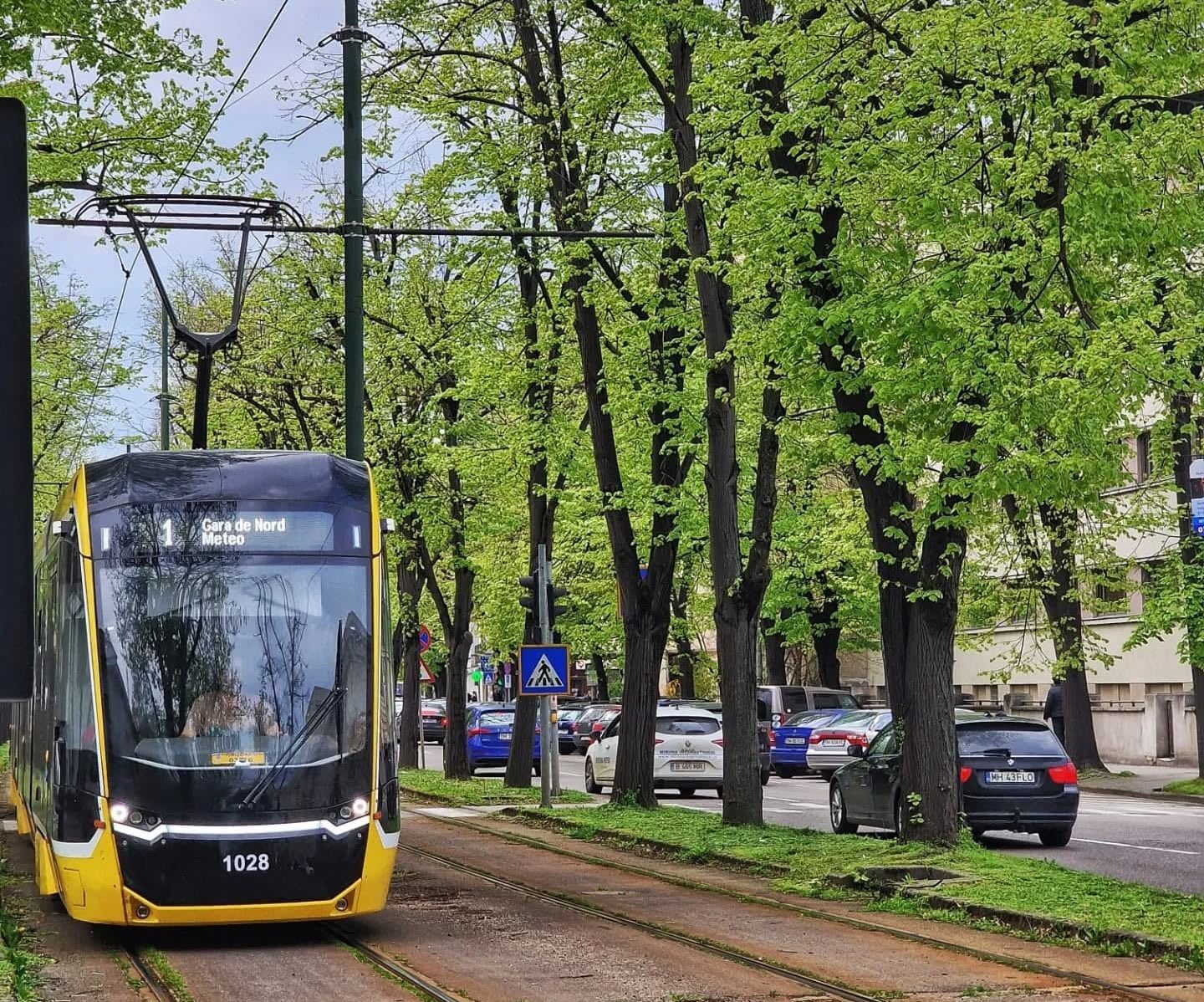 Muncitori în acțiune la frezarea șinelor de tramvai în Timișoara Muncitori în acțiune la frezarea șinelor de tramvai în Timișoara