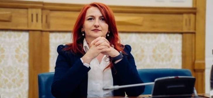 Paula Romocean în fața instanței, proces incompatibilitate