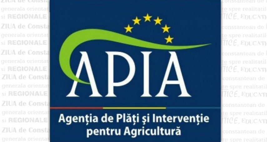Sediul APIA din Negru Vodă