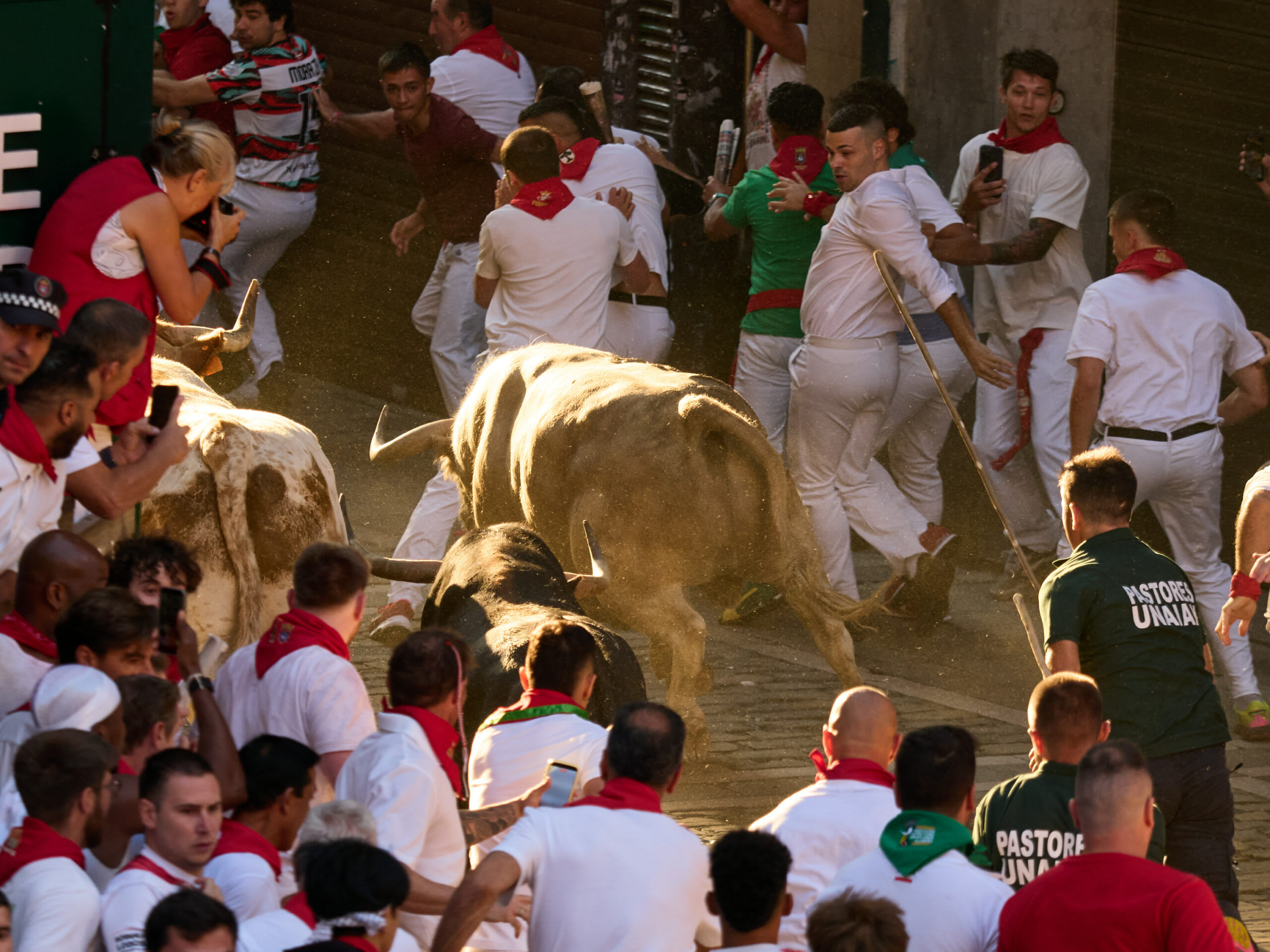 Taur în cursa de la San Fermin, Pamplona, Spania
