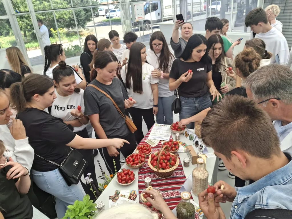 Degustare de tomate românești la Buzău, cu soiuri variate și fructe colorate