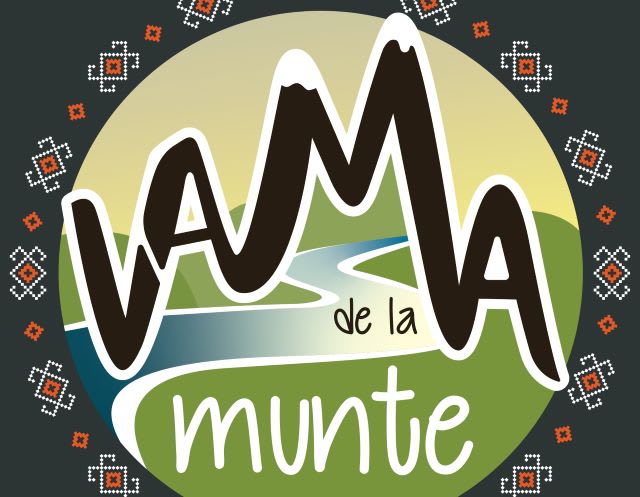 Scenă în aer liber cu artiști folk și public în natură