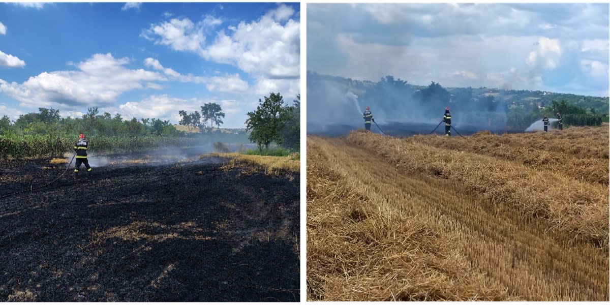 Pompieri în acțiune stingând un incendiu de vegetație în Prahova