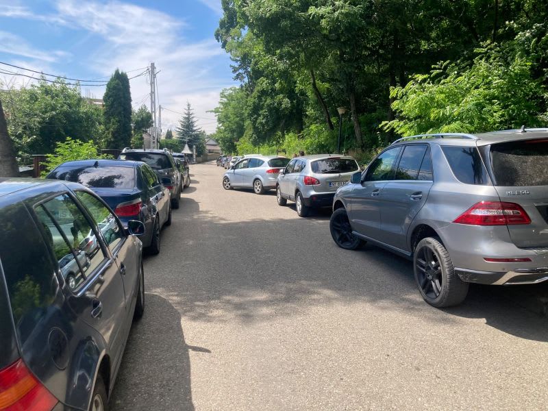 Zilele Cetății Târgu Neamț