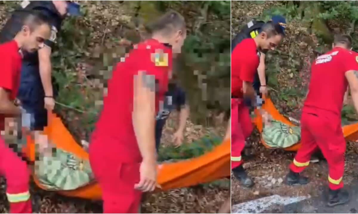 Echipă de căutare cu câini special dresați în pădure, Galda de Jos