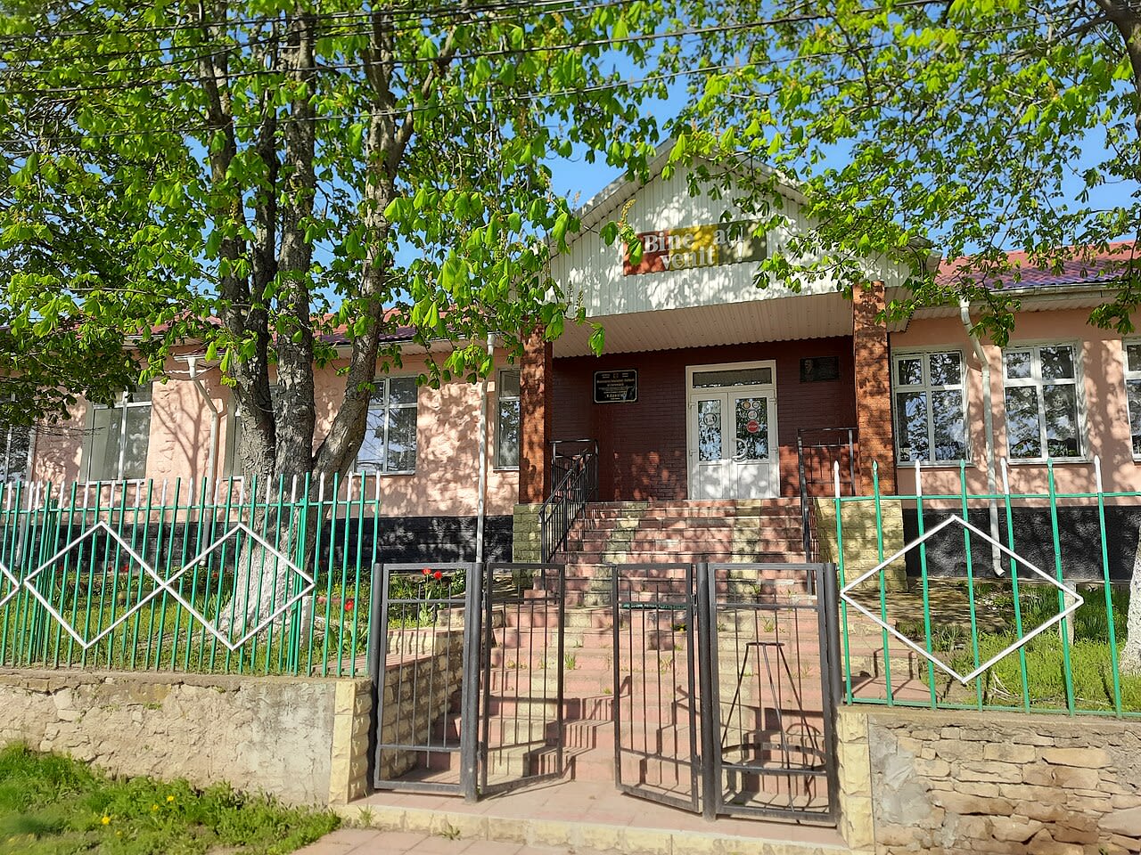 Elevul Teodor Moscalu din București prezentând proiectul său de cercetare