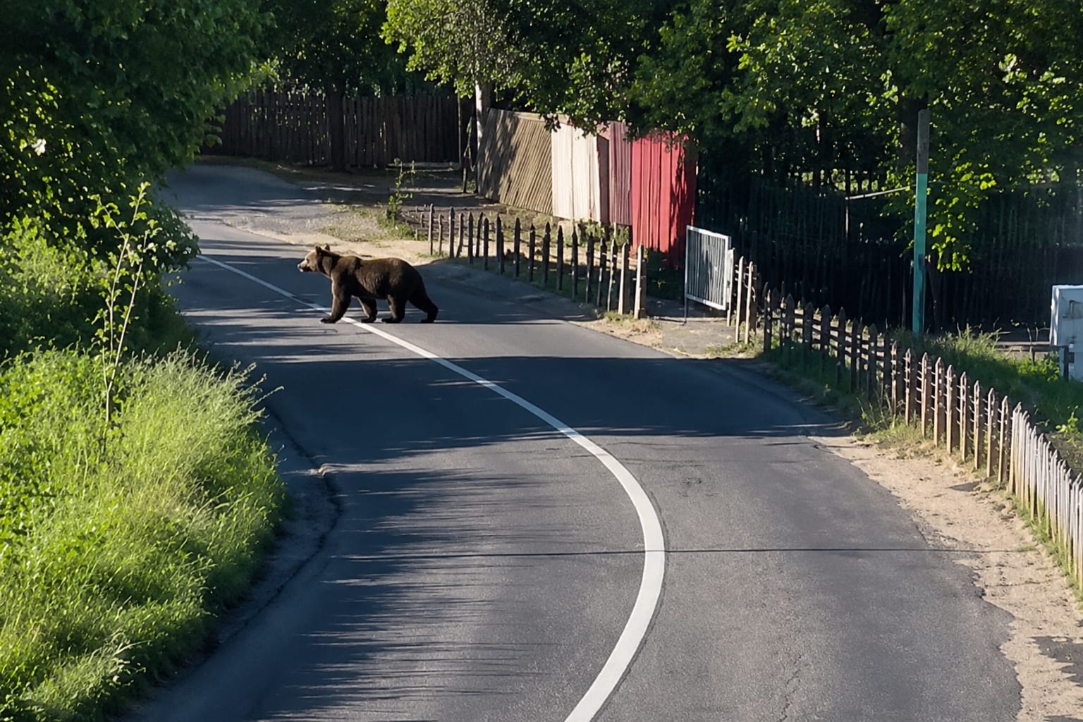 Echipaj ISU intervenind în localitatea Argeș pentru gestionarea urșilor