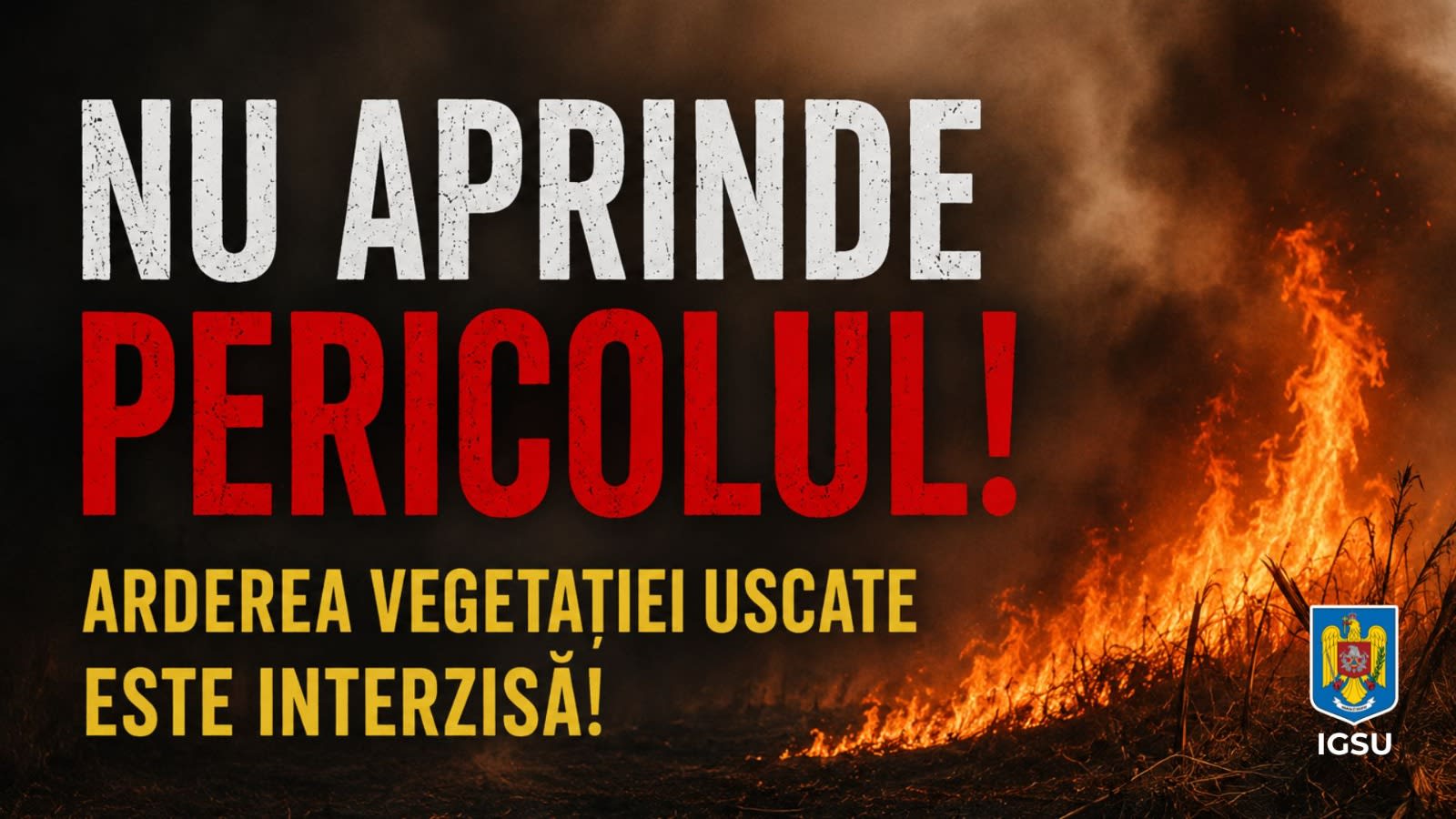 Pompieri stingând incendiu de vegetație uscată în România
