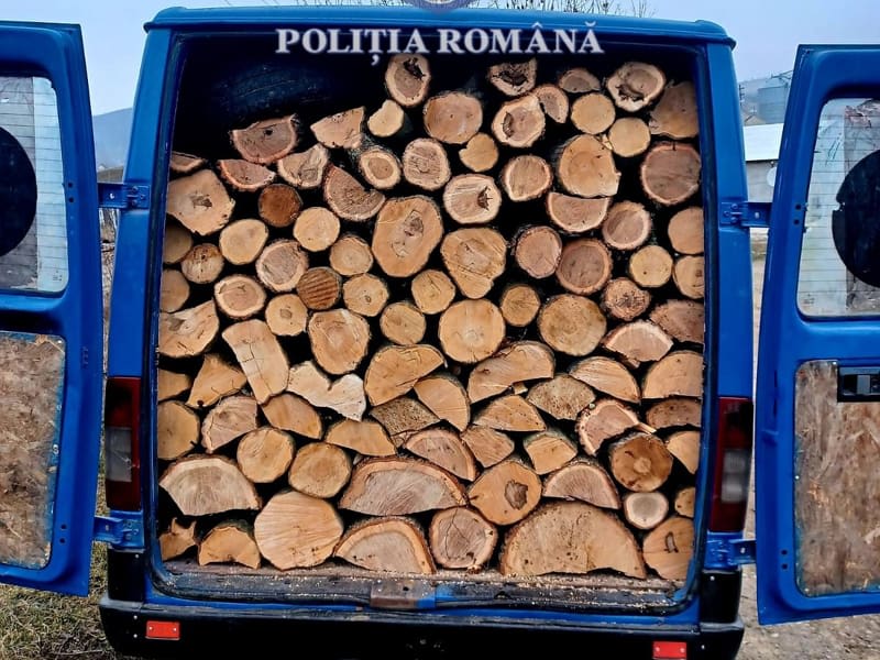 Transport ilegal de lemne la Drăgușeni: Poliția a confiscat 3 metri cubi de material lemnos