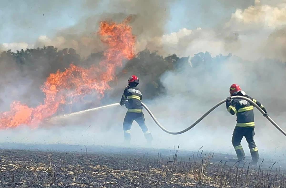 Pompieri în acțiune la un incendiu de vegetație în Hârșova spre Vadu Oii