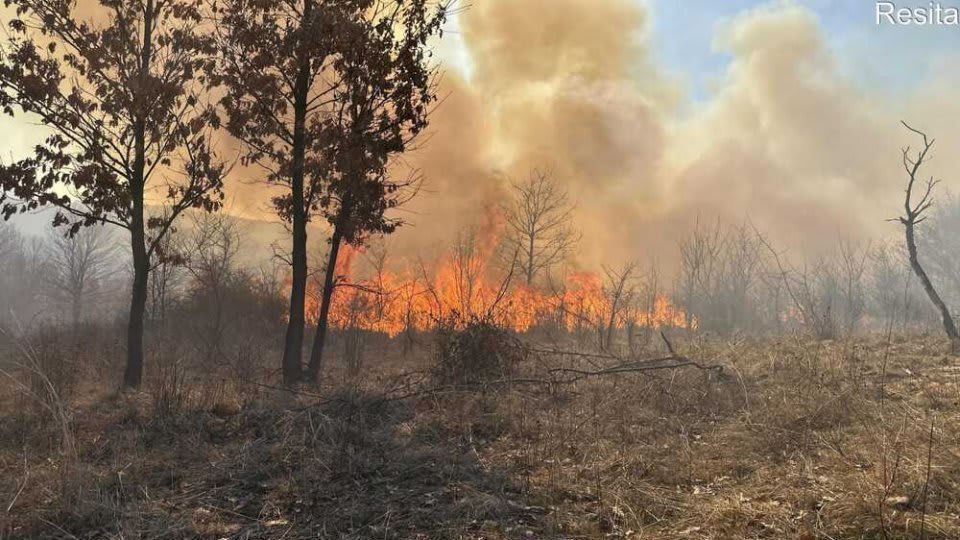 Pompieri români stingând incendiu de vegetație în România