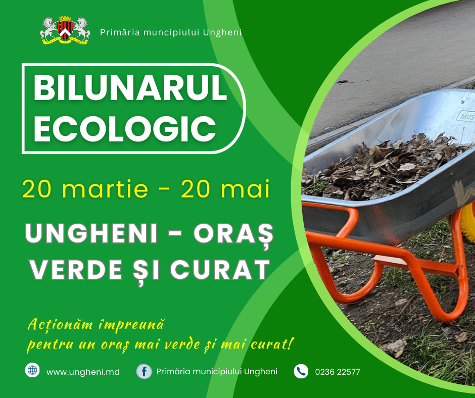 Insule ecologice din Arad în proces de mentenanță