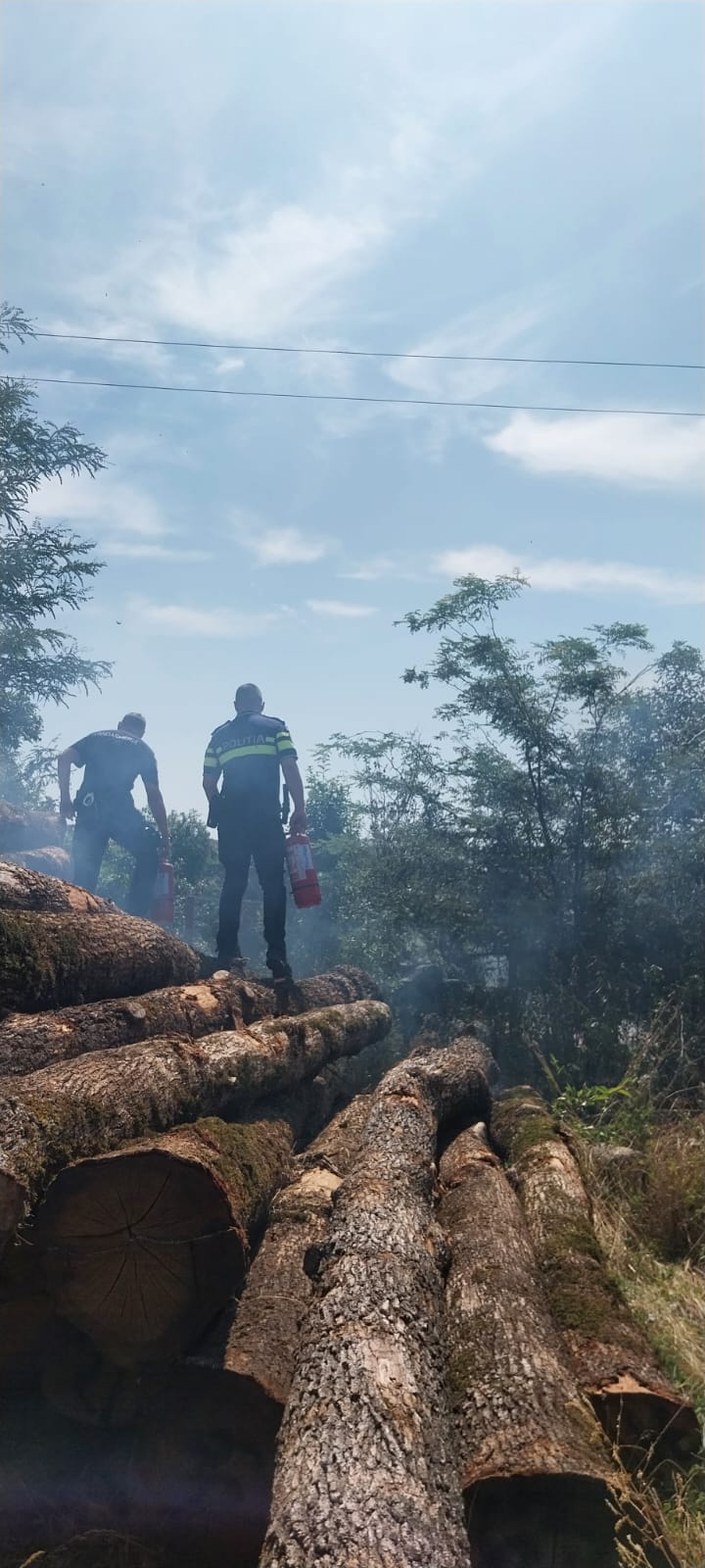 Polițist și jandarm acționând pentru stingerea unui incendiu la Ocolul Silvic Filiași