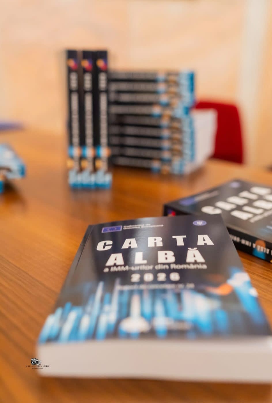 Raport Carta Albă IMM-urilor 2026, antreprenori români, economie locală