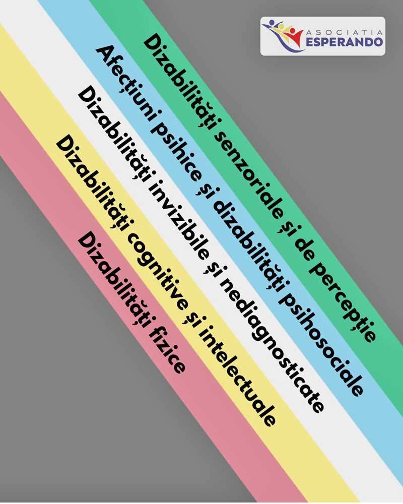 Steag Disability Pride cu culorile simbolice ale comunității cu dizabilități Steag Disability Pride cu culorile simbolice ale comunității cu dizabilități