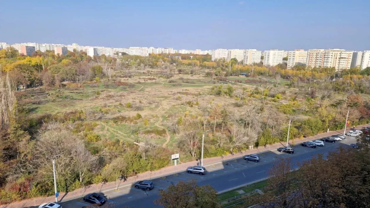 Voluntari în acțiune de smulgere a ambroziei în Parcul IOR