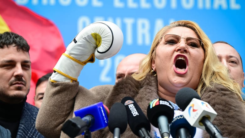 Diana Șoșoacă în sala de judecată, proces penal