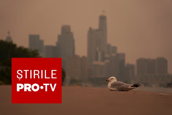 Fum dens de incendiu de pădure acoperind cerul din Toronto